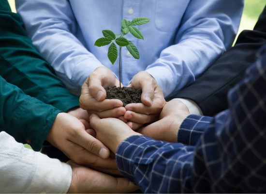 Sustainability & Transparency: The New Must-Haves in UK Wholesale Supply Chains